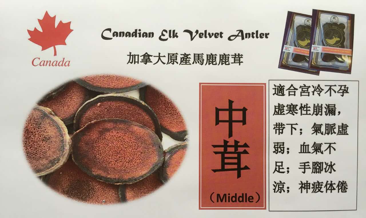 为什么要选择加拿大鹿茸