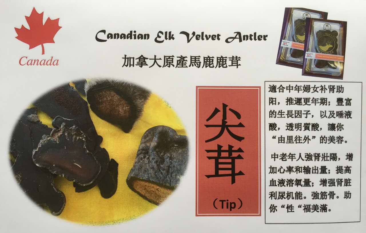 为什么要选择加拿大鹿茸