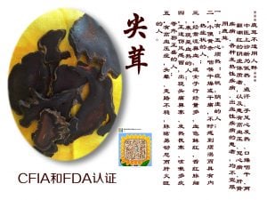 马鹿茸
