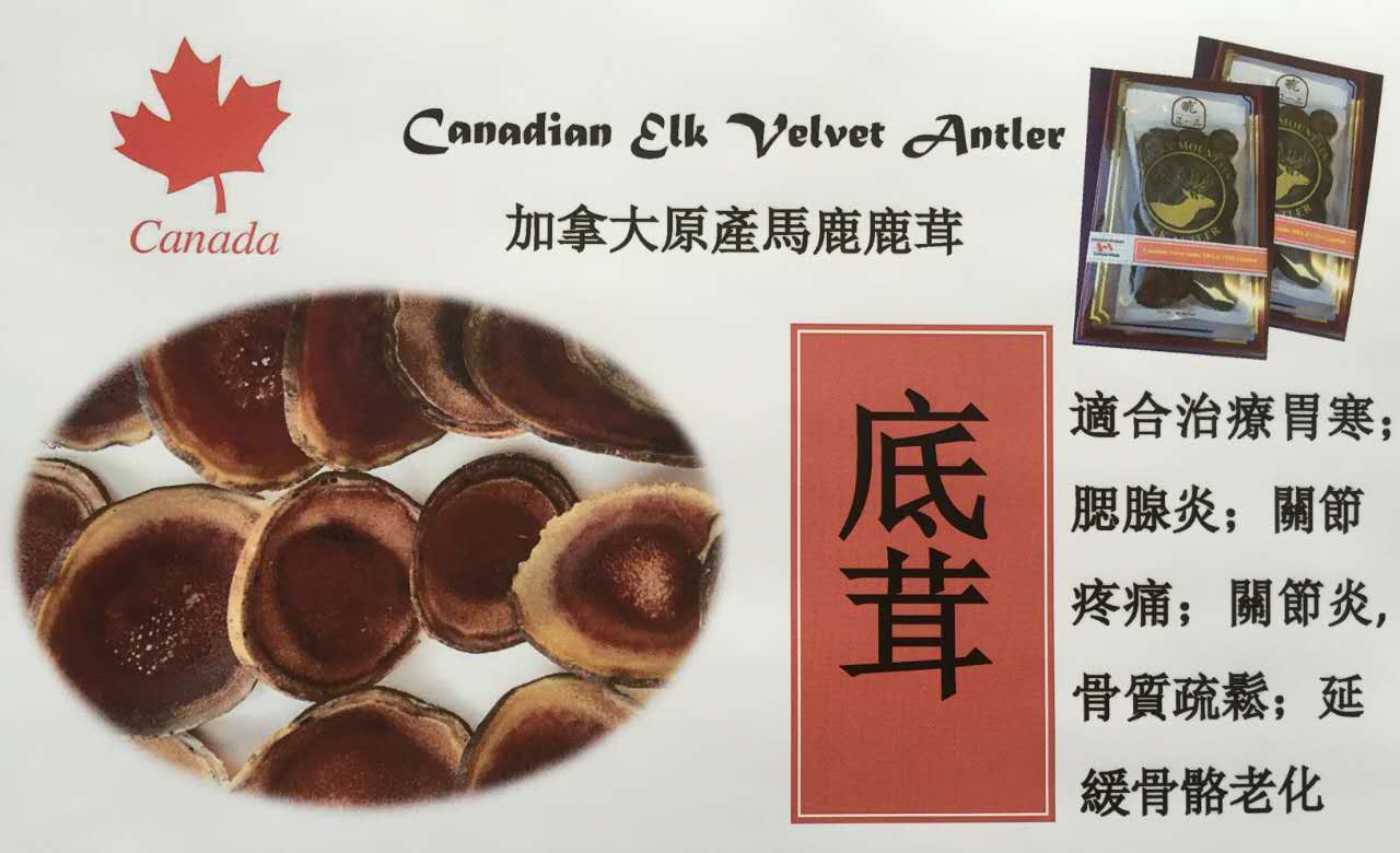 为什么要选择加拿大鹿茸
