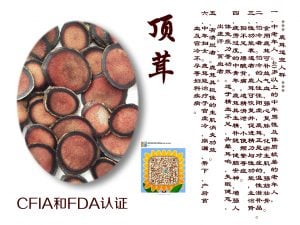马鹿茸