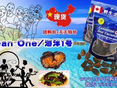 北极海参一天吃多少才合适