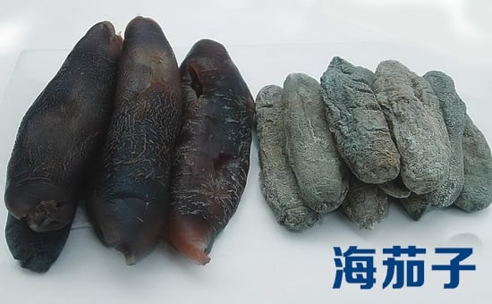 普及加拿大野生北极海参知识