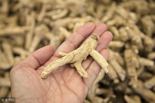 西洋参的功效有哪些？什么人不适合吃？一文说清