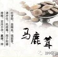 《加中团购网》团购产品一览表