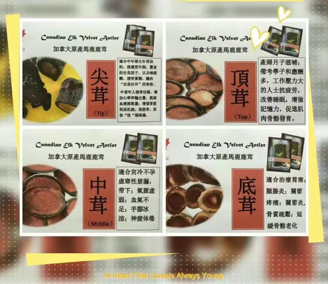 《加中团购网》团购产品一览表