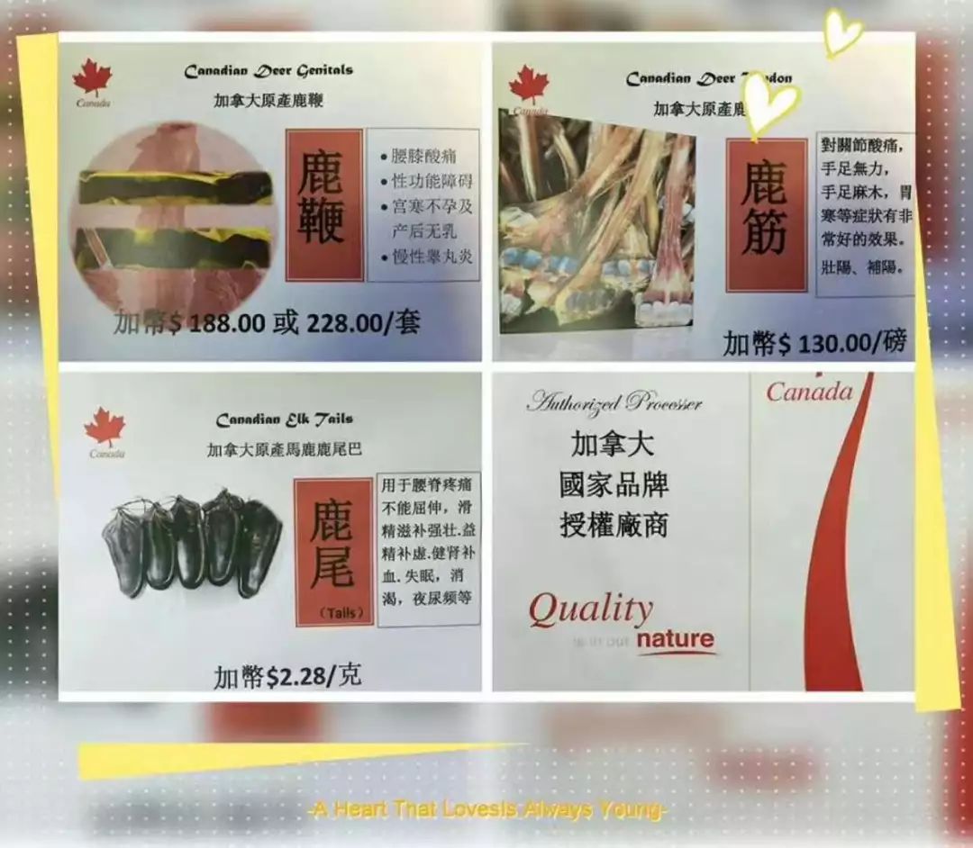 《加中团购网》团购产品一览表