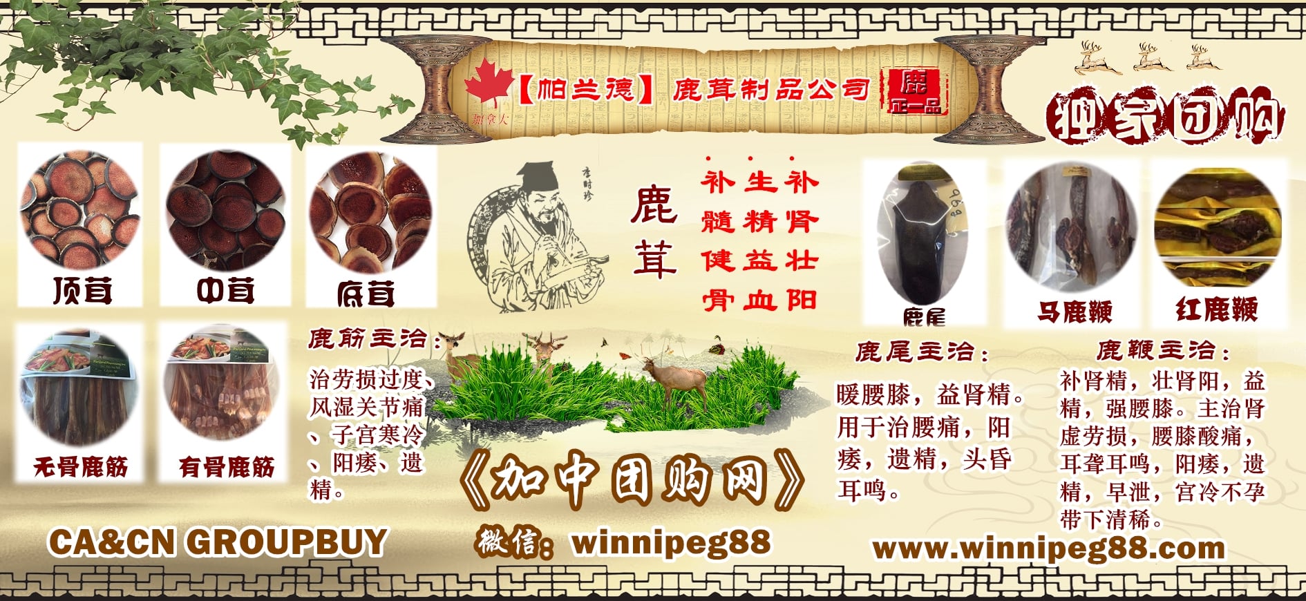 团购加拿大鹿茸，鹿筋，鹿鞭，鹿尾