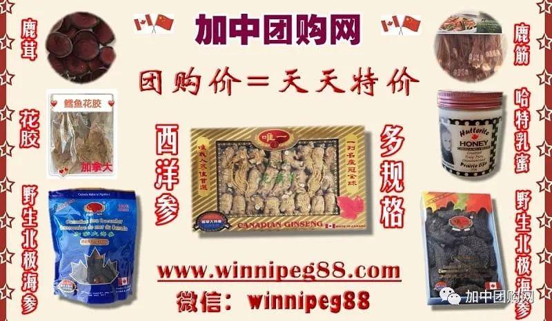 圣诞&新年福利:温尼伯女士专属 圣诞&新年福利:温尼伯女士专属