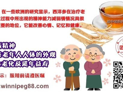 团购加拿大30年老品牌【唯一人参行】花旗参