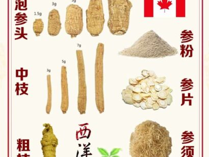 如何挑选西洋参
