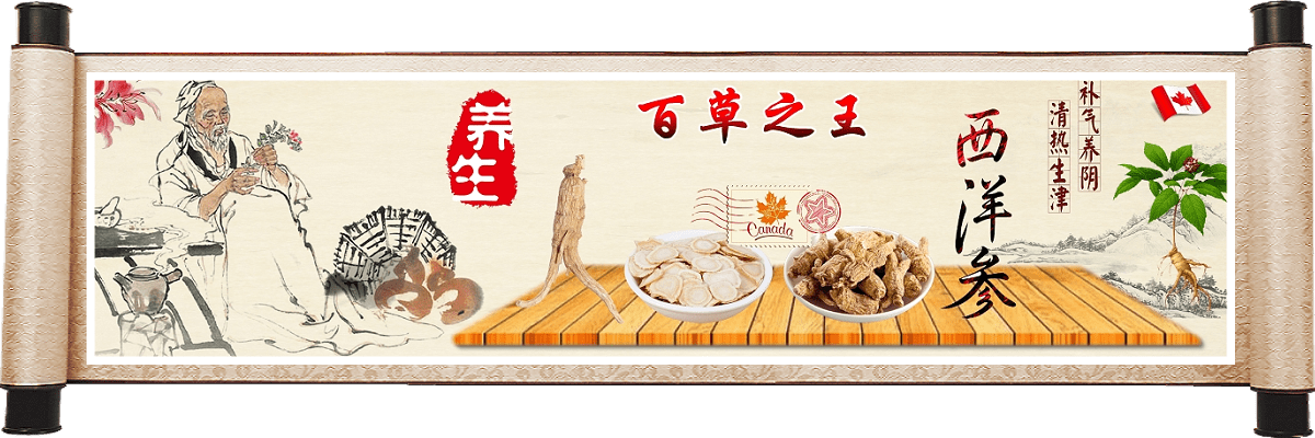 加拿大西洋参 加拿大西洋参