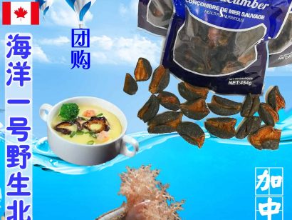 科研：海参增强免疫力和抗肿瘤