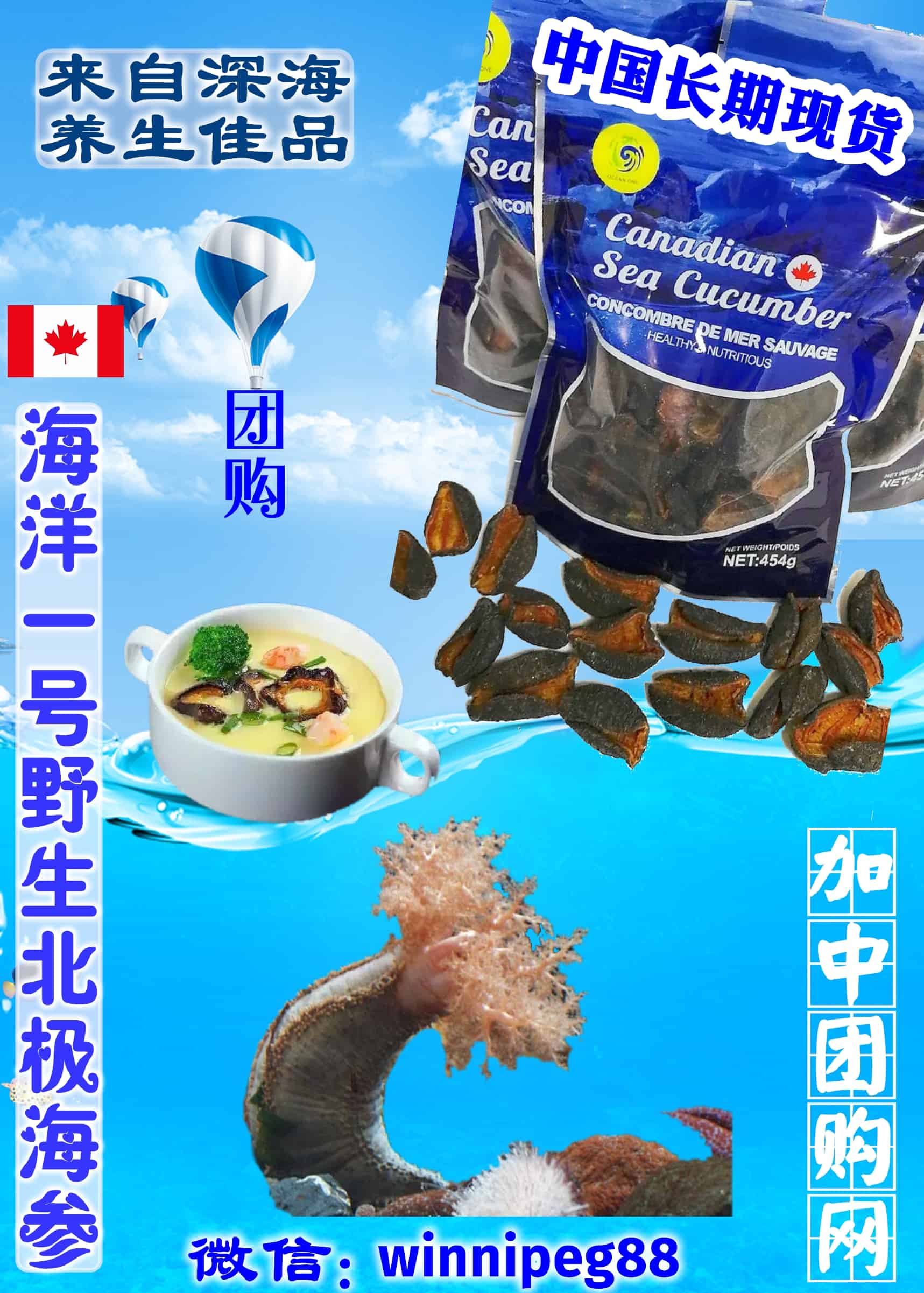 加拿大北极海参
