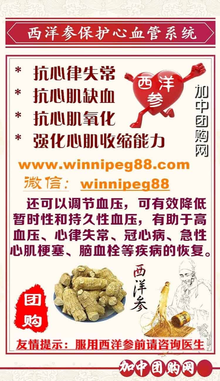 加拿大西洋参