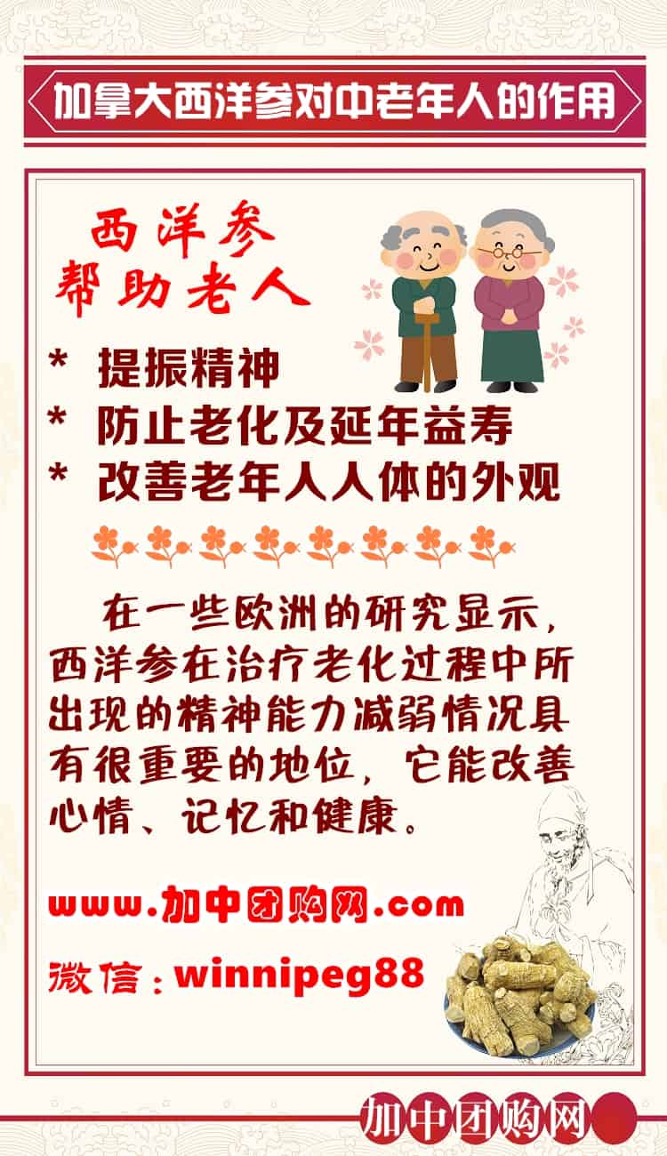 西洋参