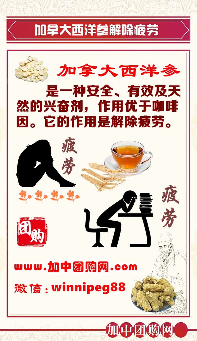 西洋参