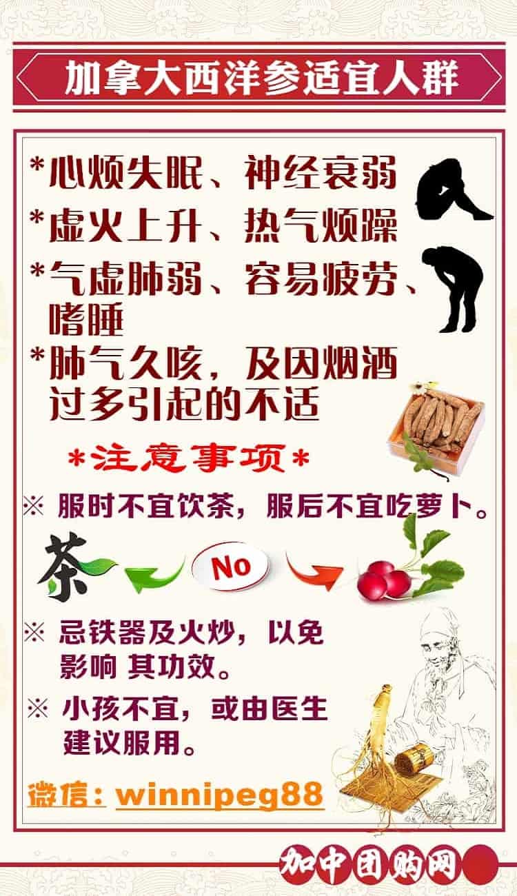 加拿大西洋参