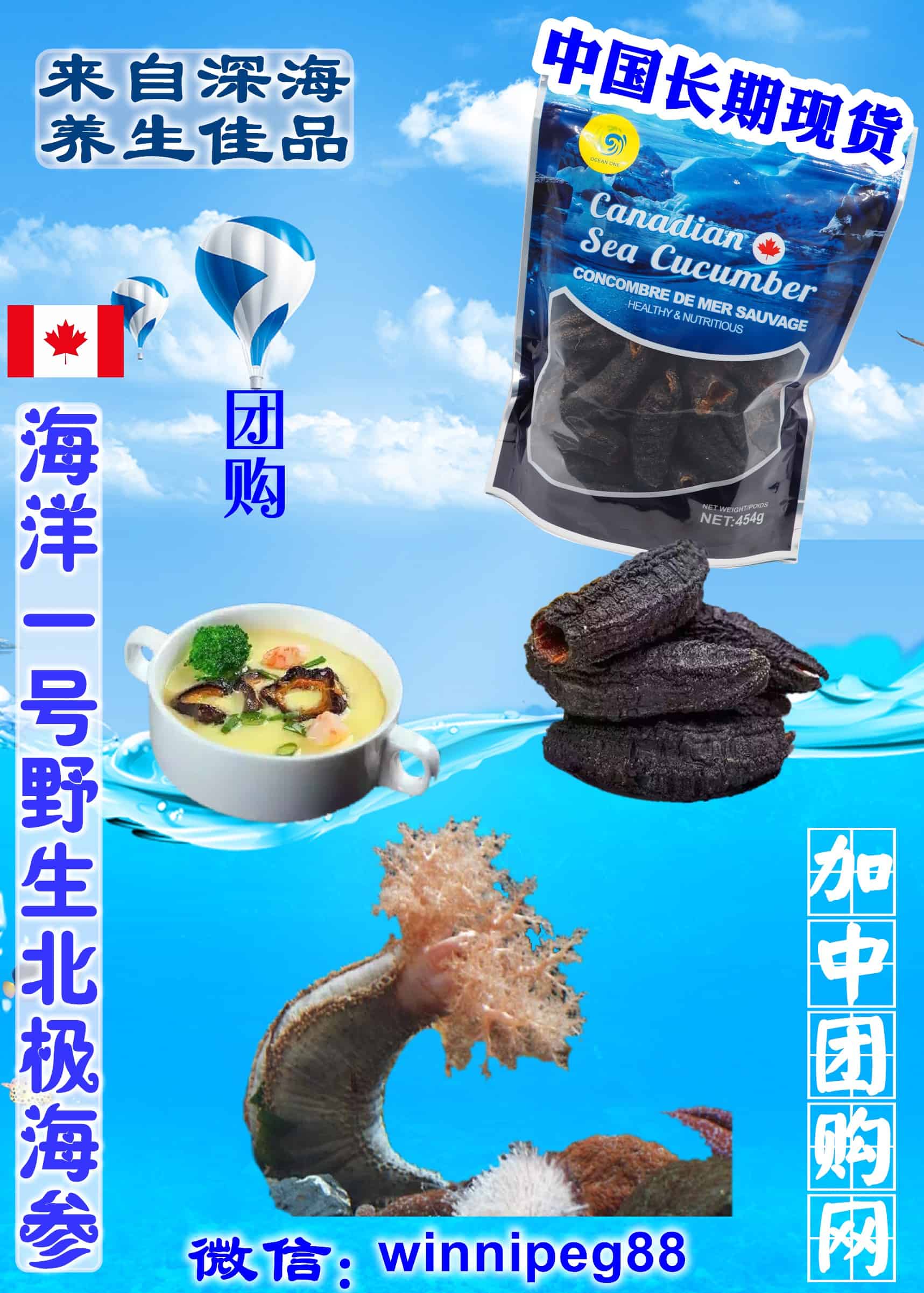 加拿大北极海参